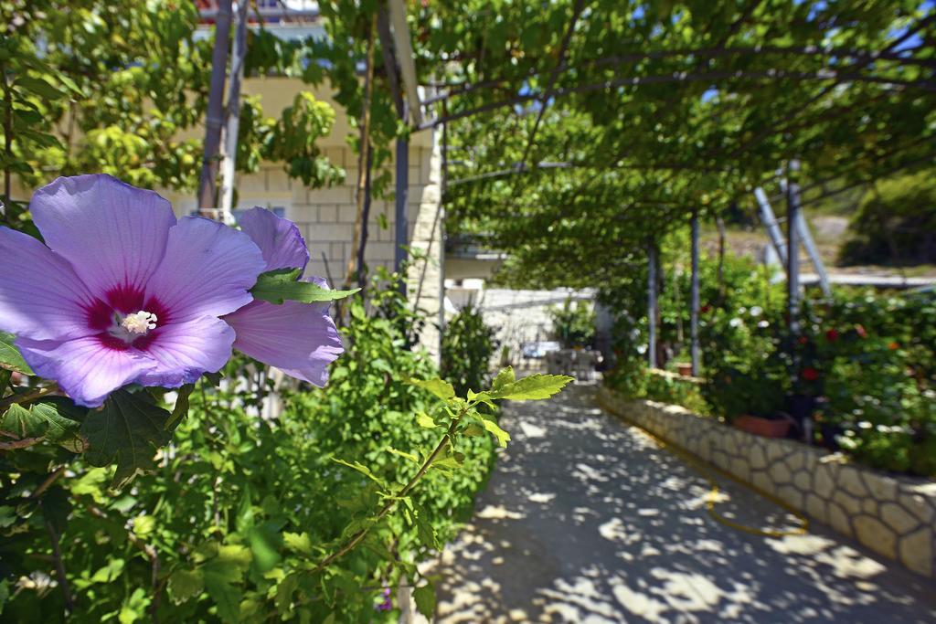Apartments Micic フヴァル エクステリア 写真