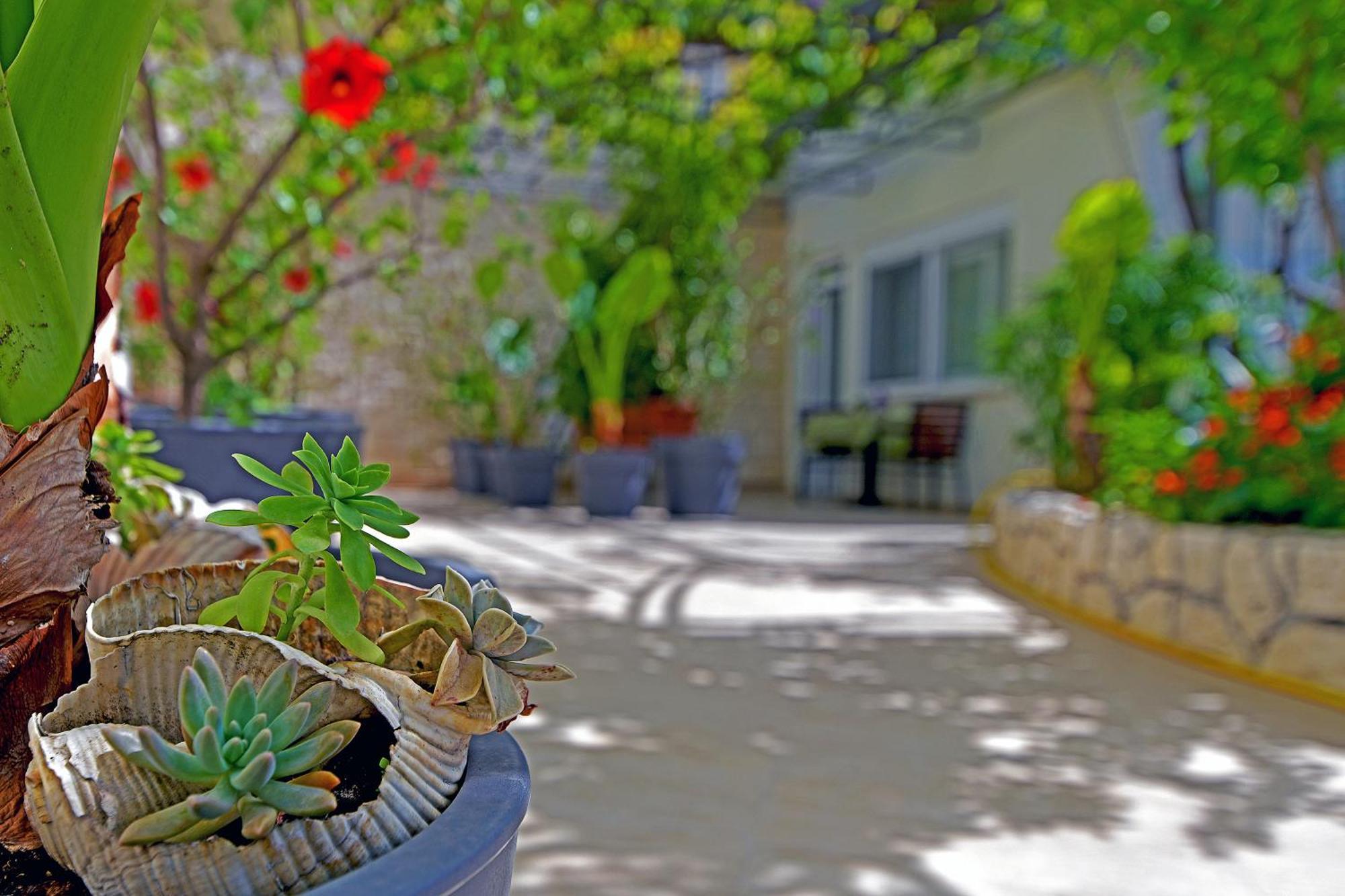 Apartments Micic フヴァル エクステリア 写真